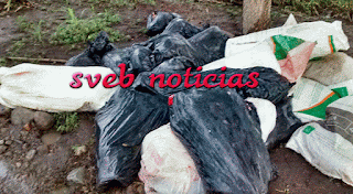 Hallan 8 bolsas con presuntos restos humanos en Omealca Veracruz 