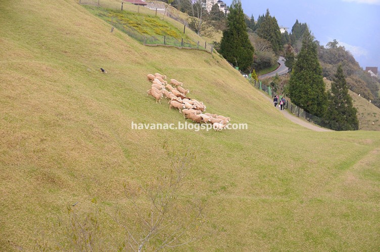 Best Food Farmstay Umbria Best Food Farmstay Umbria