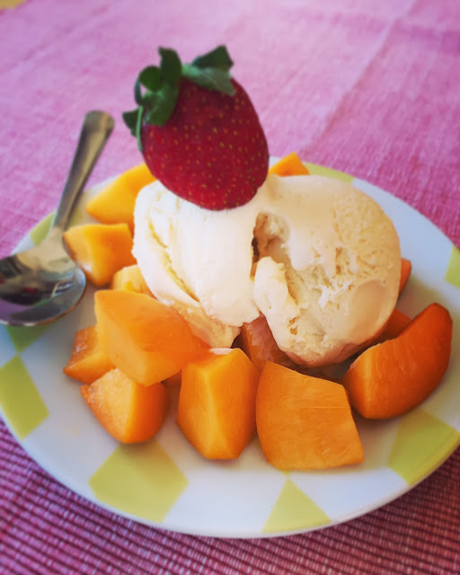 gelat vainilla thermomix