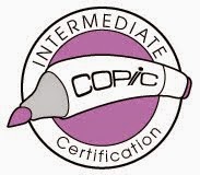 Copic Intermediate Certification