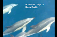 Arrosases na proa do RANA