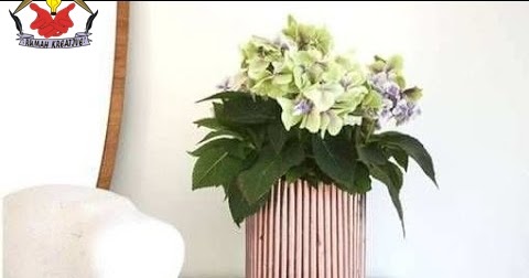 Cara Membuat Vas Bunga Dari Kertas Bekas