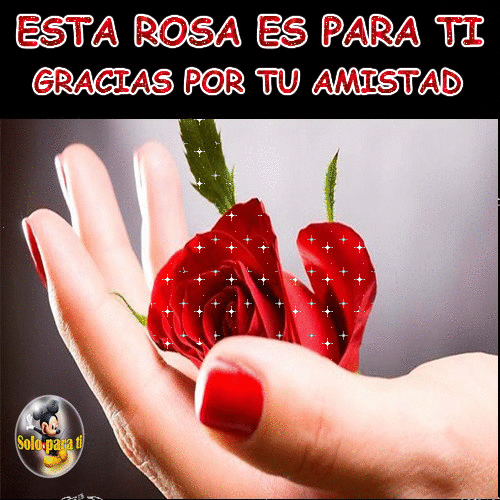 Imágenes Sólo para ti : GRACIAS POR TU AMISTAD.