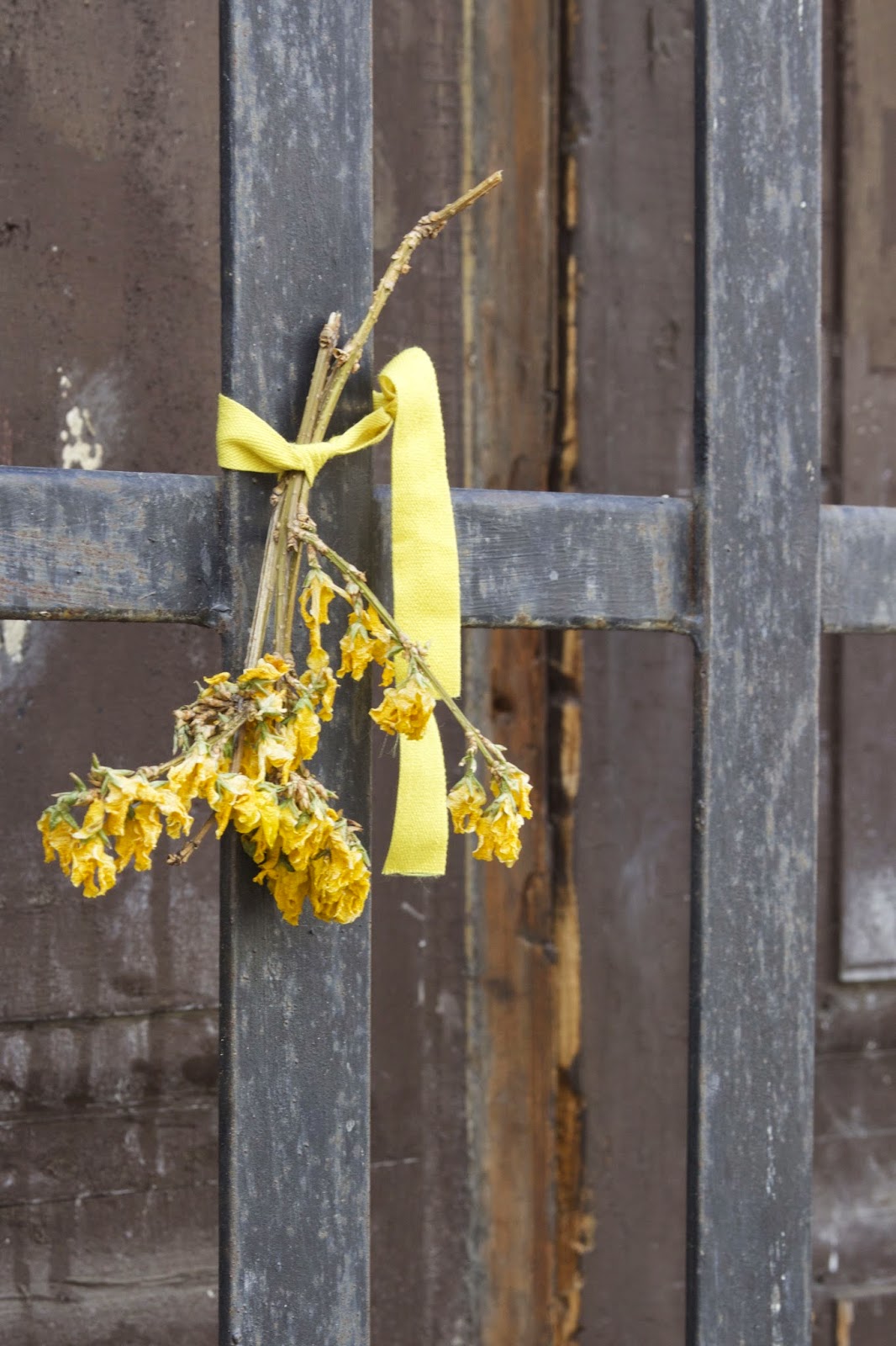 dried yellow flowers with yellow ribbon