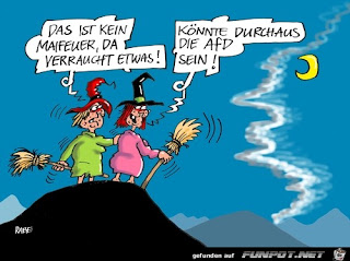 Maibaum Kaufen 2020 Koln Maibaum To Go