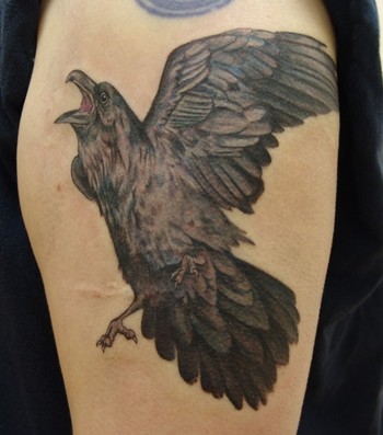 Crazy Raven Tattoos New Tattoos