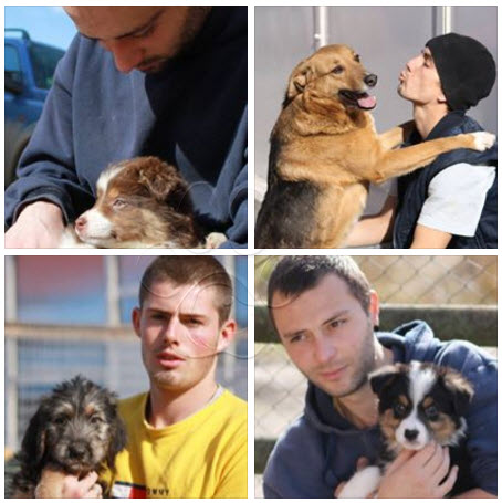 conoce-la-familia-que-viajo-mas-de-3200-kilometros-buscando-una-vida-mejor-y-terminaron-salvando-la-vida-de-cientos-de-perros-sin-hogar%2B12.jpg