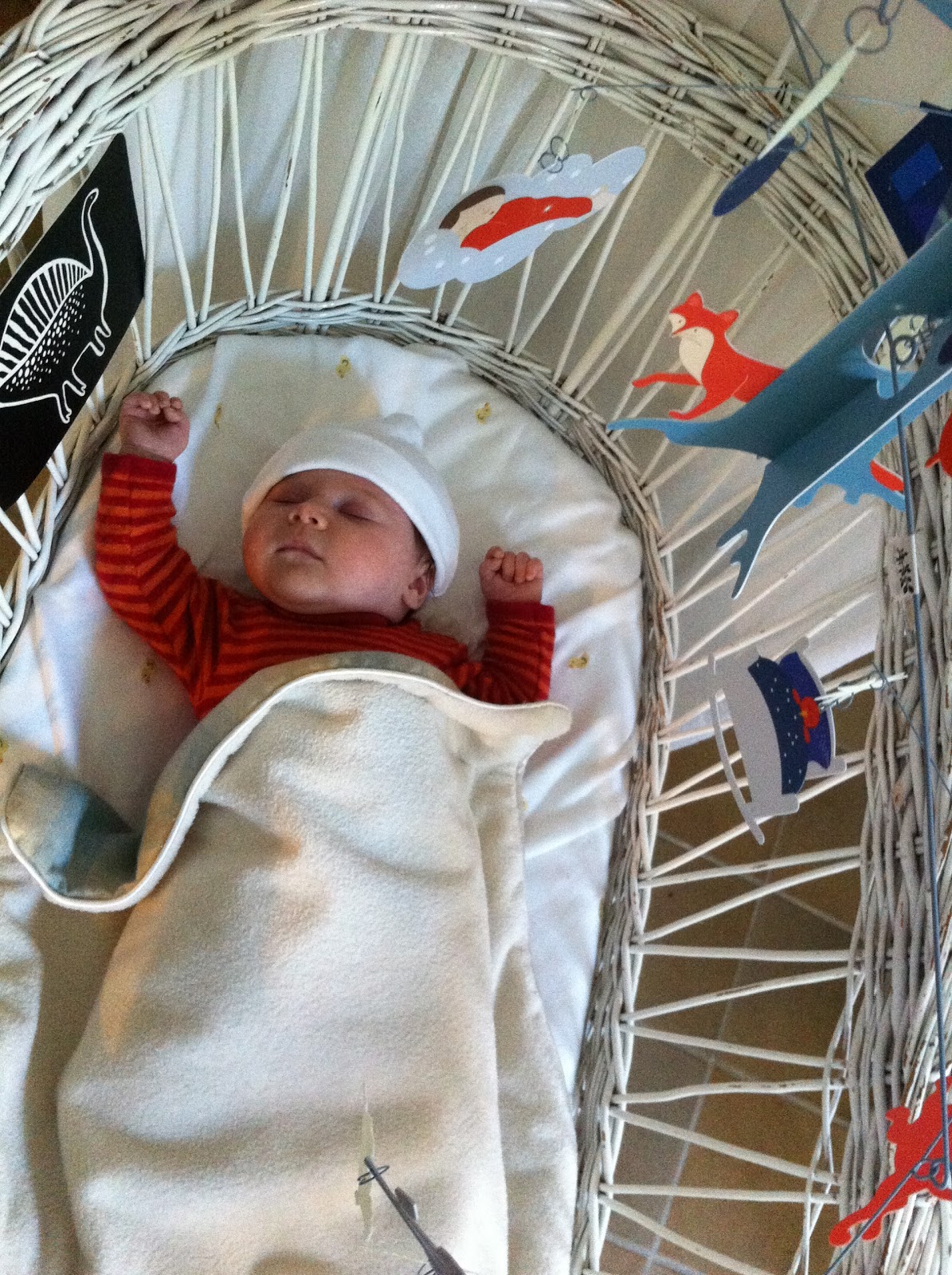 sweet slumber bassinet