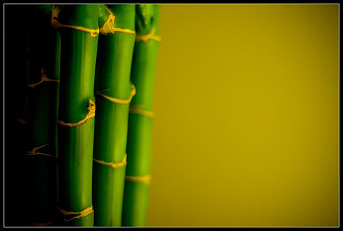  Kerajinan  Bambu 