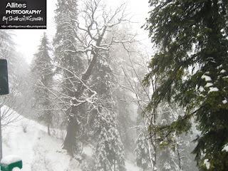 Nathiagali during winters, Photography by Shahzil Rizwan