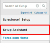 Infallible Techie Setup Assistant For Newly Activated Salesforce Com Organizations