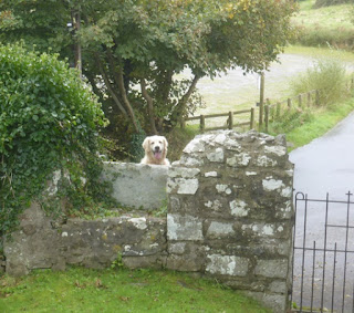 St Michael's church, Penbryn