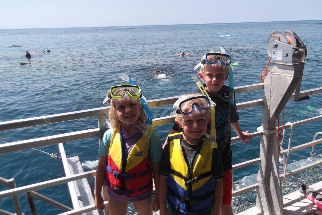 Our Big Aussie Road Trip Palm Cove, Cairns