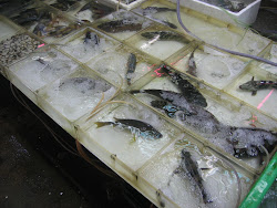 Fish market