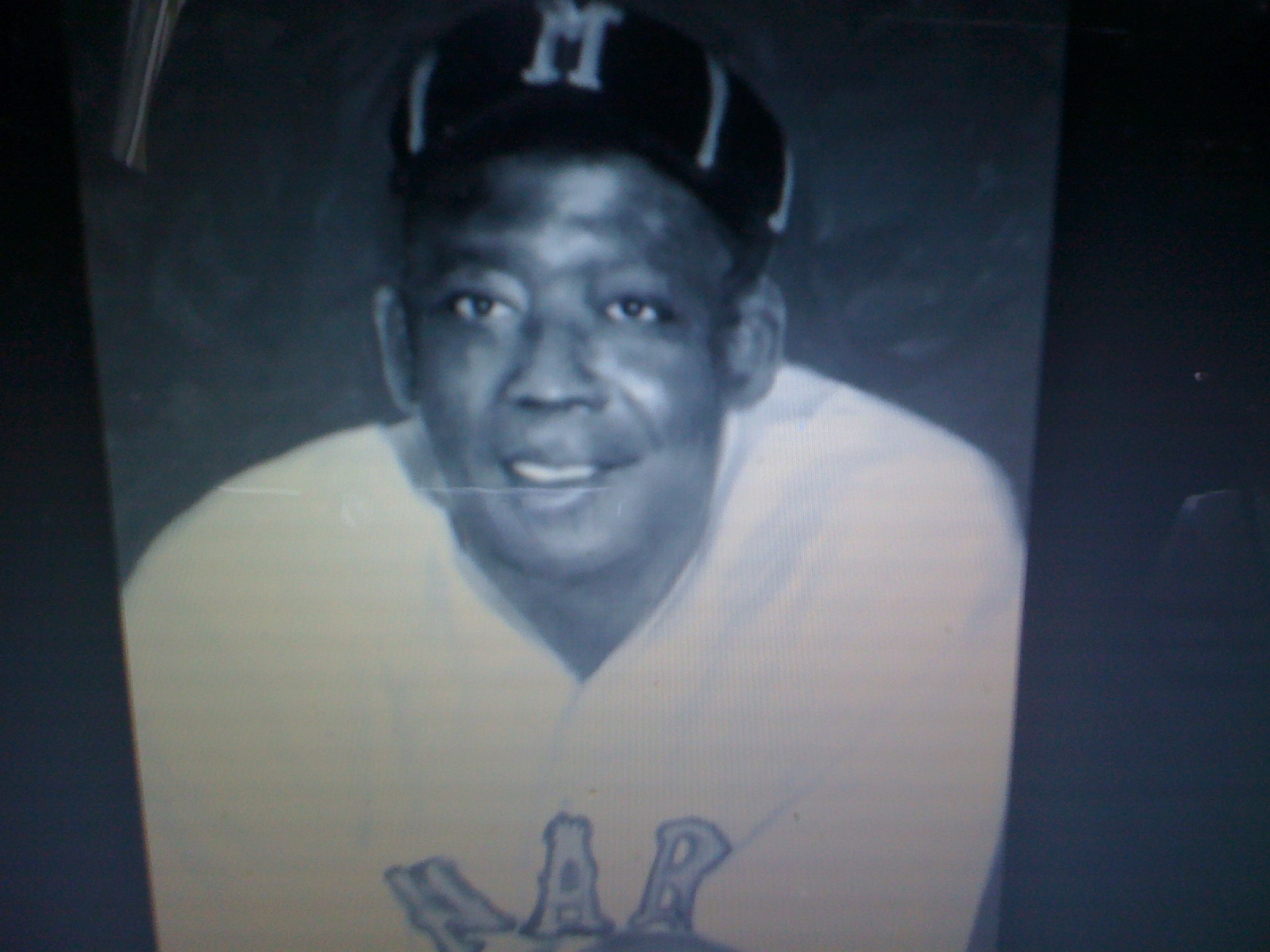 THE BLACK SOCIAL HISTORY BLACK SOCIAL HISTORY AFRICAN AMERICAN PROFESSIONAL BASEBALL PLAYER