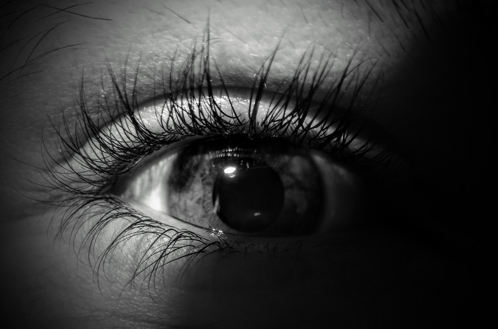 wallpaper hd for desktop full screen flower 4k: wallpaper hd for