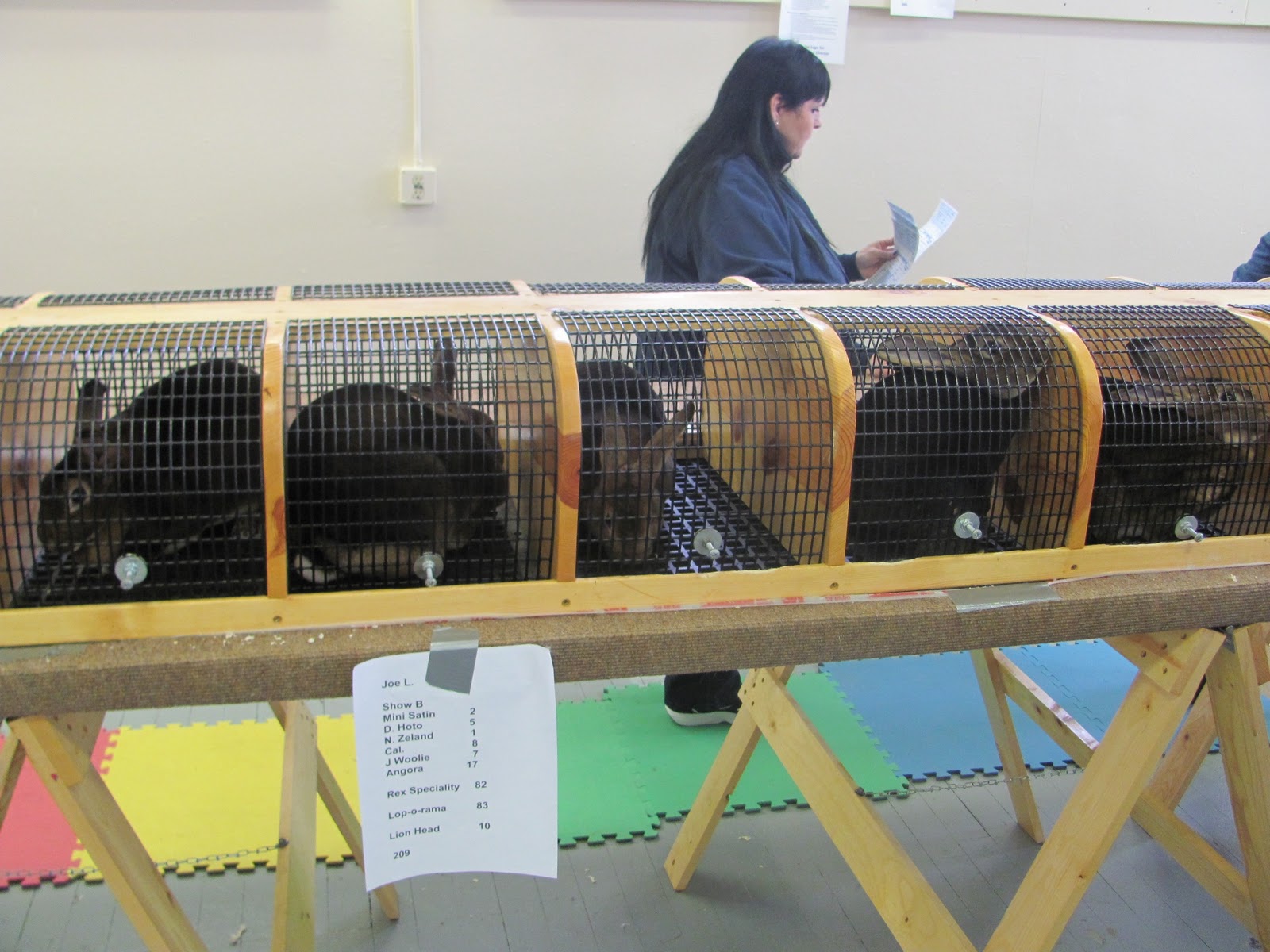 Rabbit Food: Rabbit Show - Salt Lake City, Utah Feb. 2011