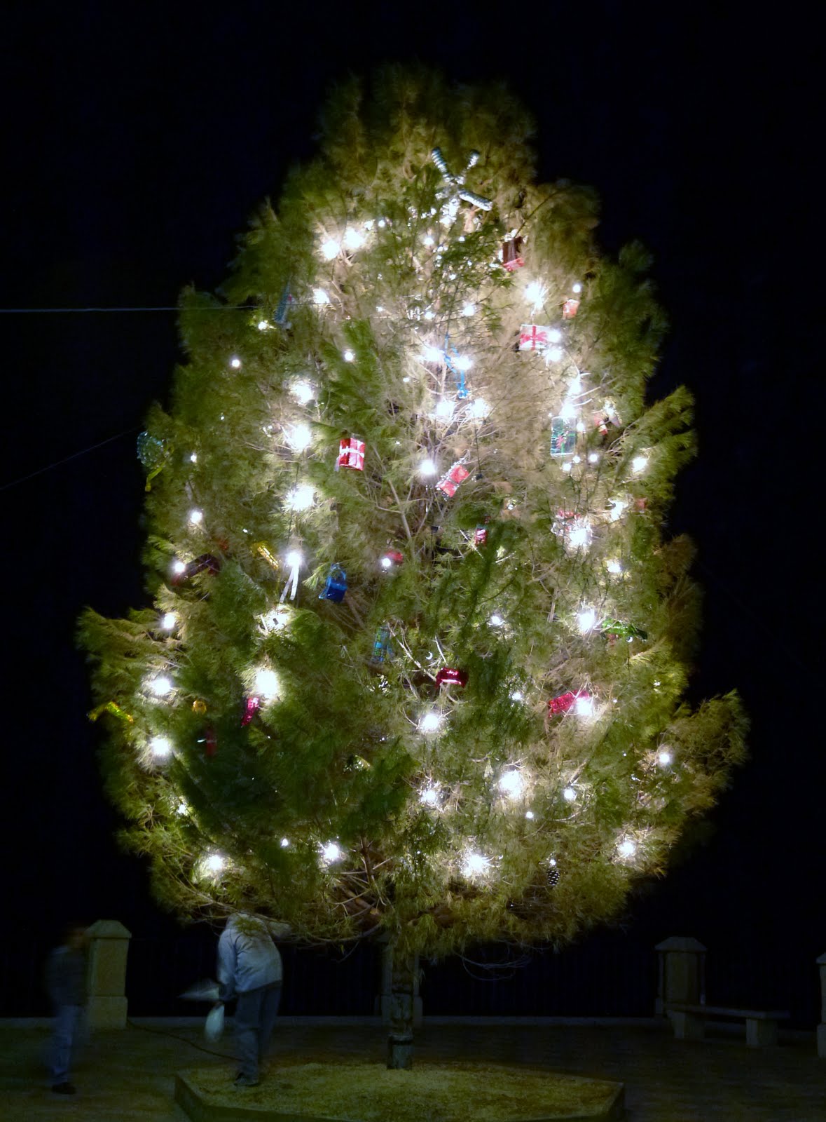 Olvera diary: Los Tres Reyes Magos - The Three Kings