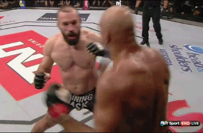Marcos Rogerio de Lima Stops Igor Pokrajac UFC Fight Night 58 Barueri