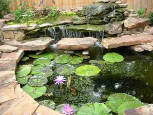Landscaping Designs for a Backyard Pond ~ Landscape Design