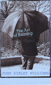 The Art of Raining