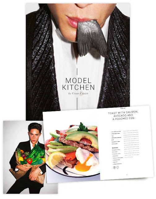 Cesar Casier Model Kitchen Book