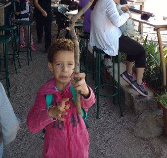 restaurante sa foradada