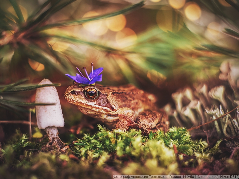 Гелиос-44 2/58