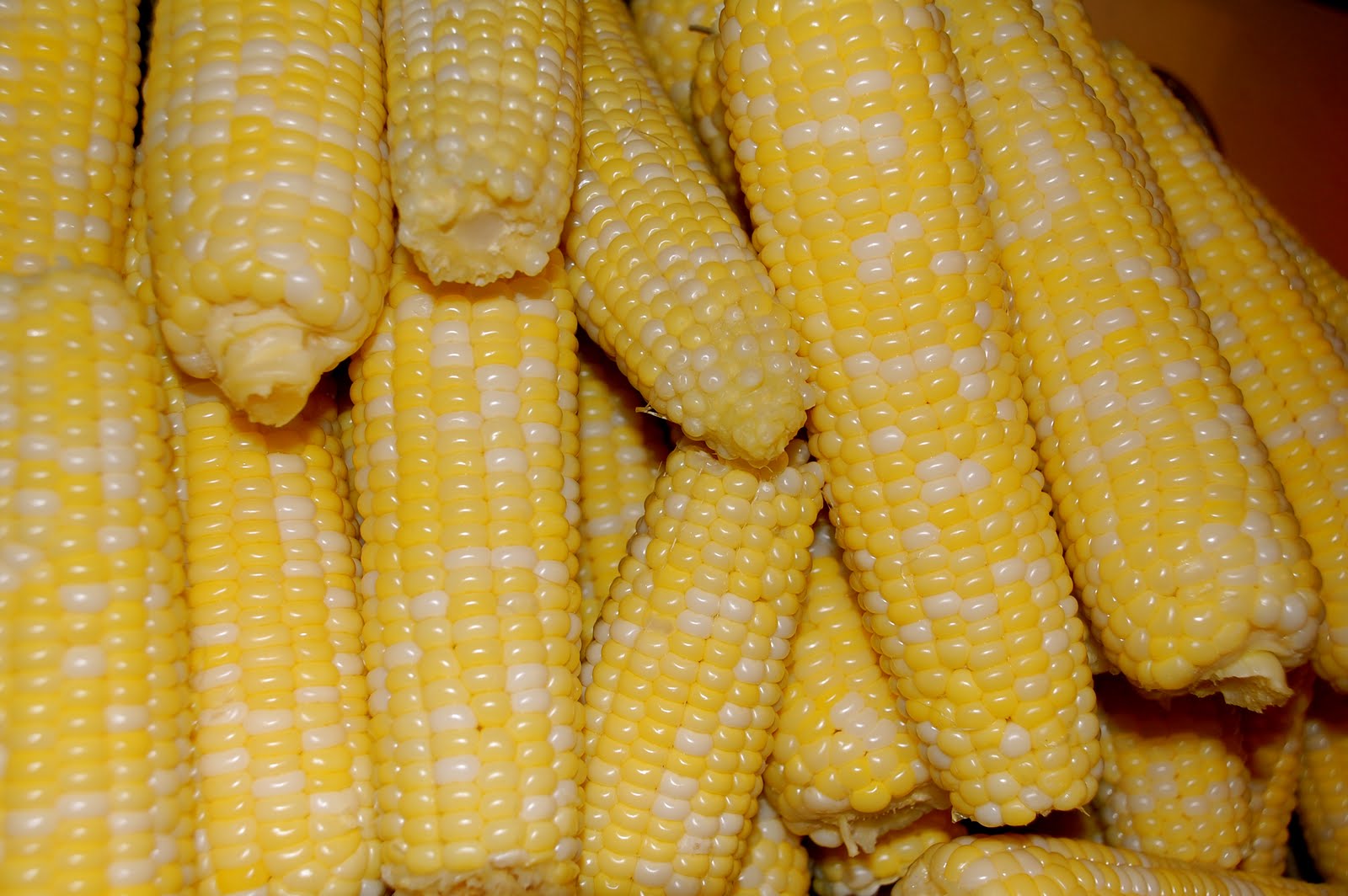 Melynda's Passion Iowa Sweet Corn