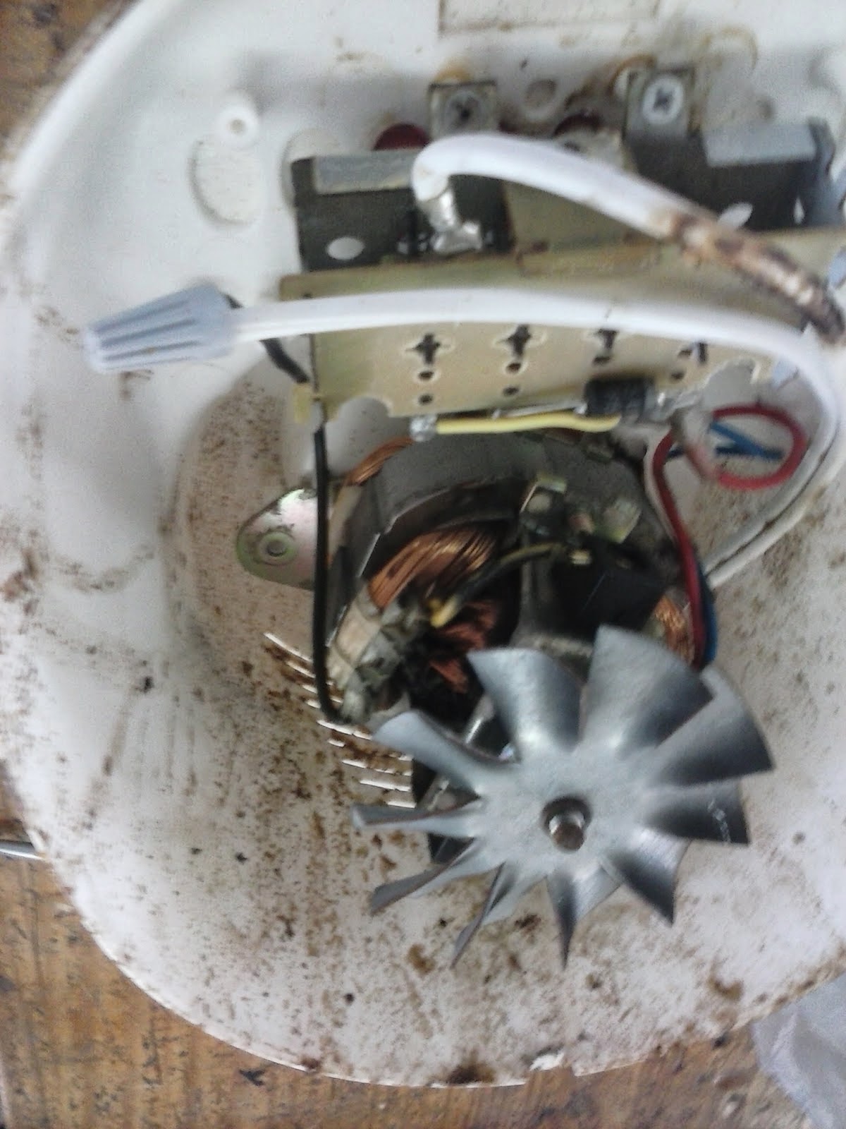 Biersack Ü: "PARTES DE LA LICUADORA"