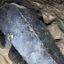 Подготвят за изваждане на повърхността уникалния черен саркофаг, открит преди дни в Александрия