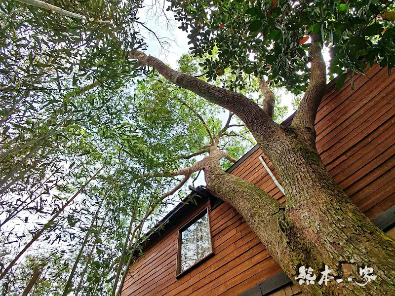 苗栗三義。焉美術行館|藝術與大自然的身心靈合一|附近有軌道自行車景觀