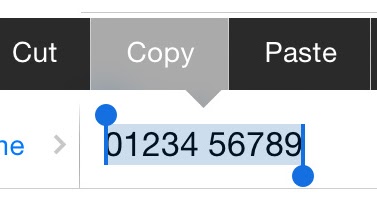 iOS 12 Copy and Paste not working On iPhone X/8/7 and iOS 12.1.3 [Solved]
