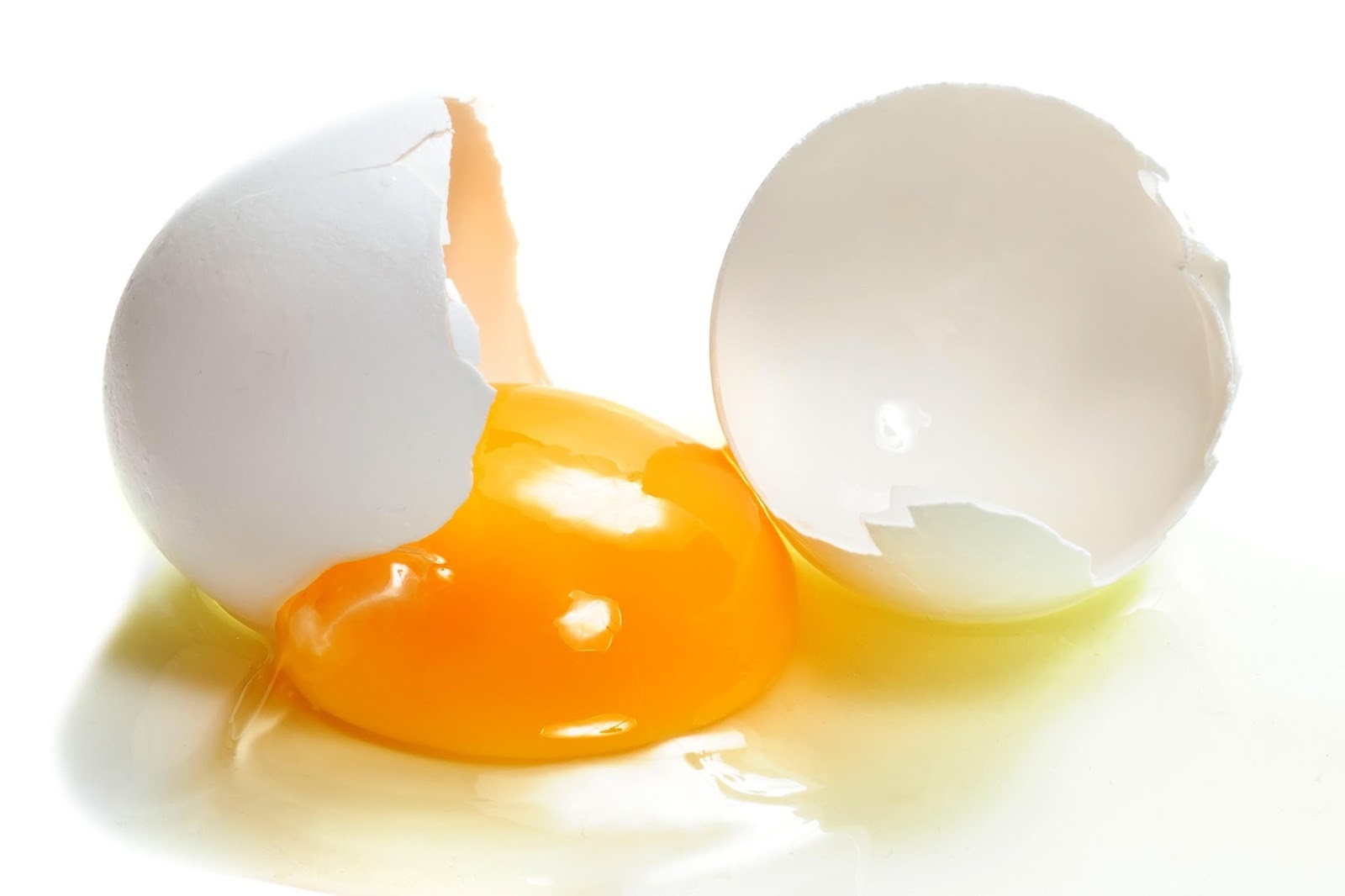 Muscoli vegetariani si può fare! Cura Fisica Muscoli vegetariani si può fare! Cura Fisica