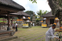 pura kebo edan