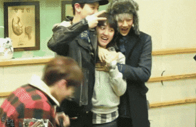 IllustriousCandidAmmonite-size_restricte