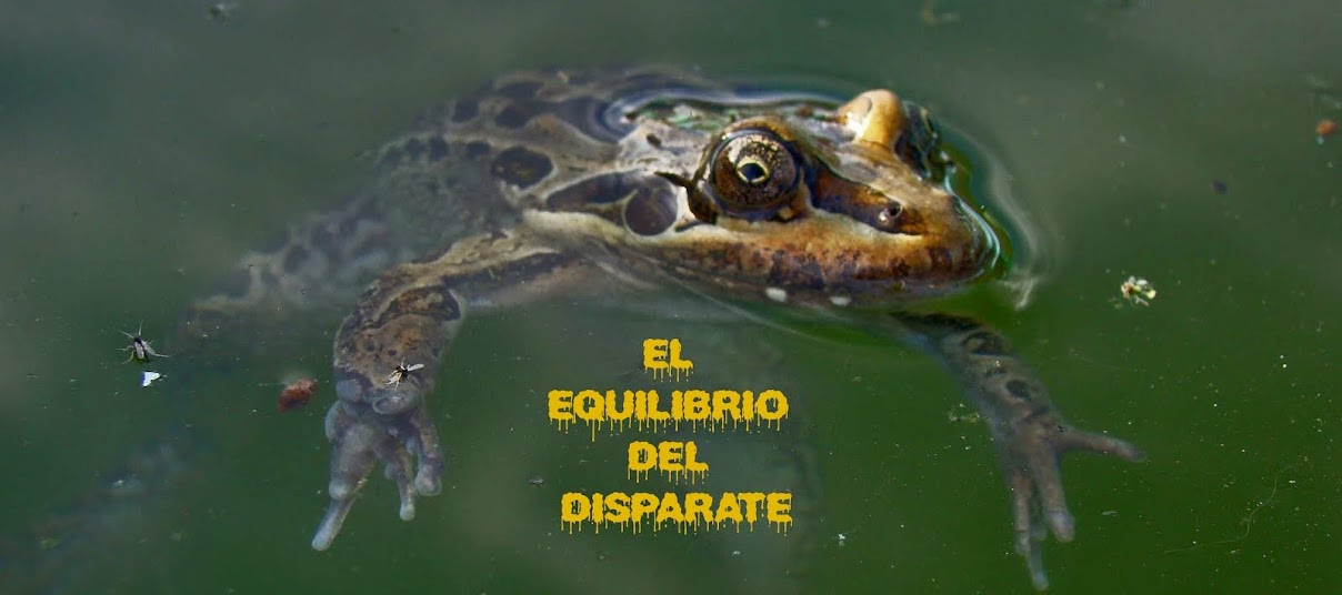 EL EQUILIBRIO DEL DISPARATE