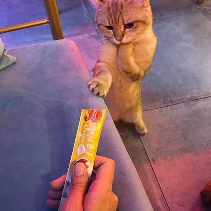 이미지에 대체텍스트 속성이 없습니다; 파일명은 39a01k62l3f70qh3t453.jpg 입니다.