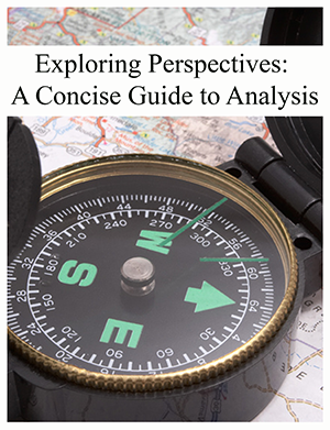 Exploring Perspectives: Analysis