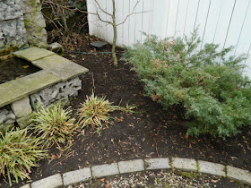 Summerhill after Toronto spring garden cleanup by Paul Jung Gardening Services