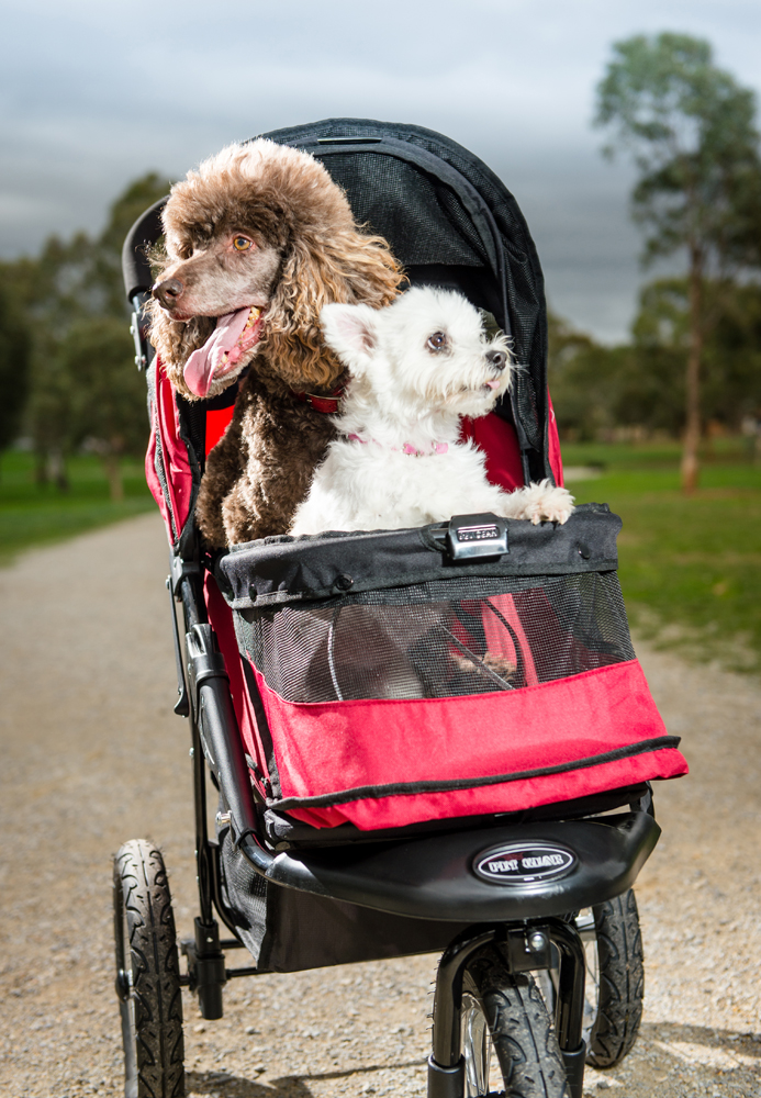 dog pram petstock