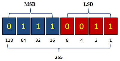 Lidyia Ervina: LSB dan MSB