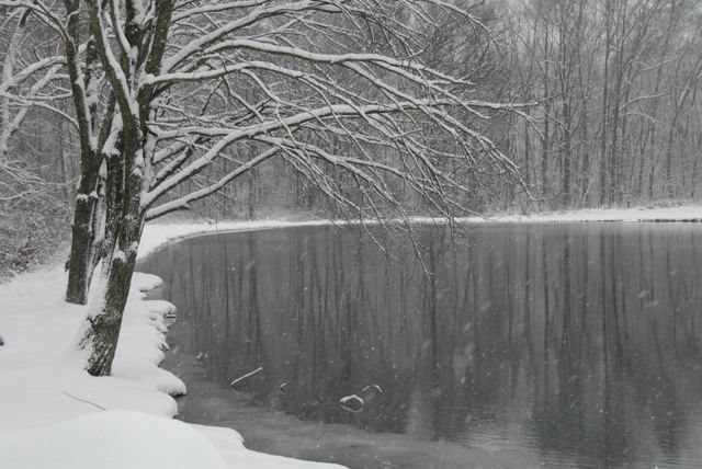 Brandywine Manor House Our Winter Wonderland Winter 2013 at