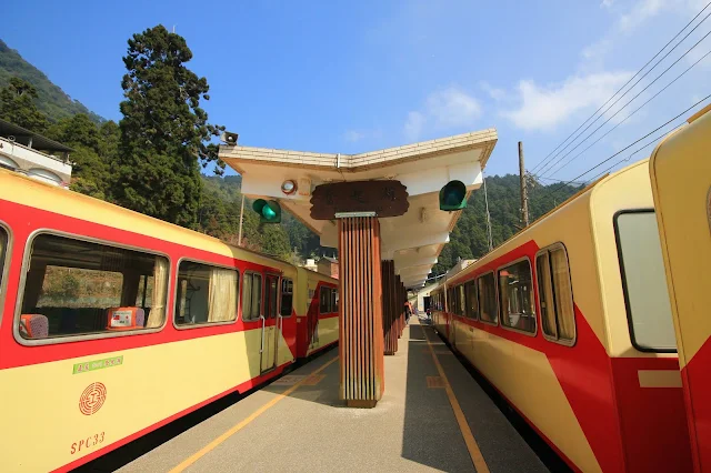 阿里山森鐵│鐵支路小火車旅行│嘉義→奮起湖