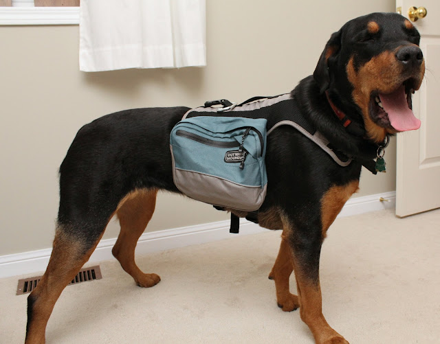 Outward Hound Backpack Dog