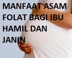 Manfaat Asam Folat Bagi Wanita Hamil dan Janin Manfaat Asam Folat Bagi Wanita Hamil dan Janin