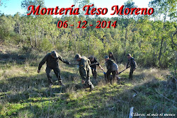 MONTERÍA TESO MORENO