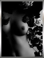 Amor pareja Rosa Negra senos tetas sexo sensual cama erótico desnuda bella poesia poesía poema romántico romantic