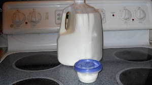The Homemade Yogurt Experiment, Step #1