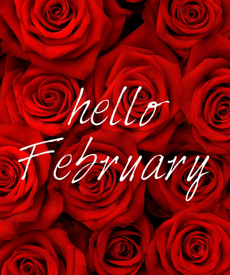 NINA'S RECIPES.....: HELLO FEBRUARY 2017 !